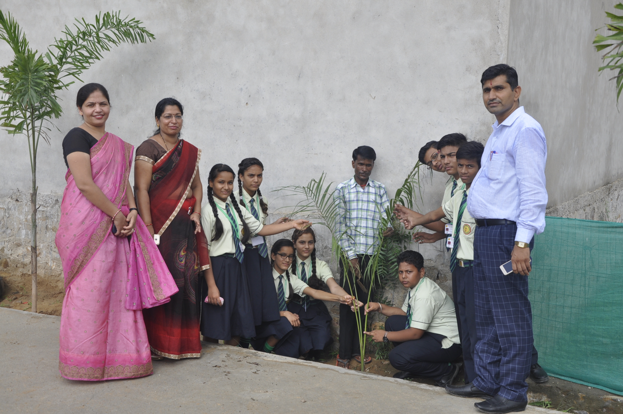 Tree Plantation